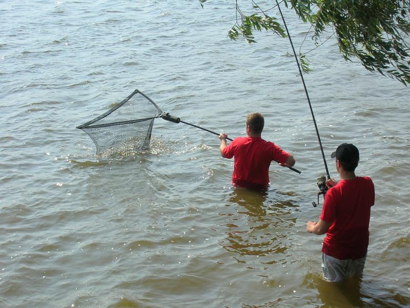 senzor peste tot - 41944174iz0.jpg